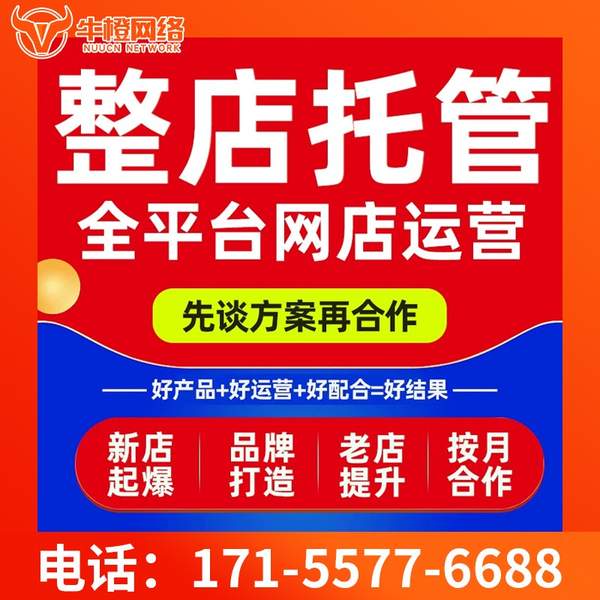 烟台电商代运营