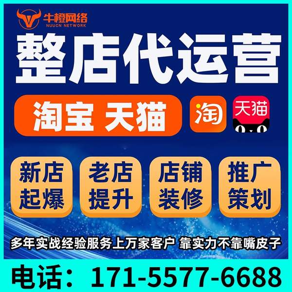 烟台电商代运营