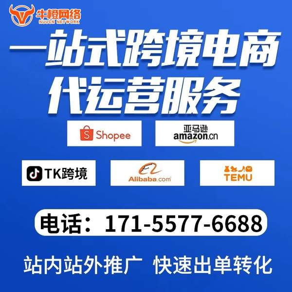 烟台电商代运营
